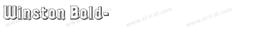 Winston Bold字体转换